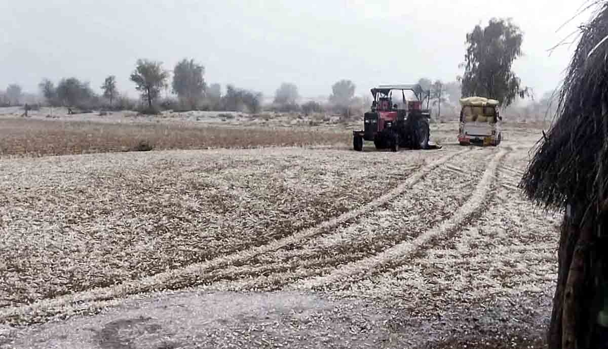 Record hailstorms 2026