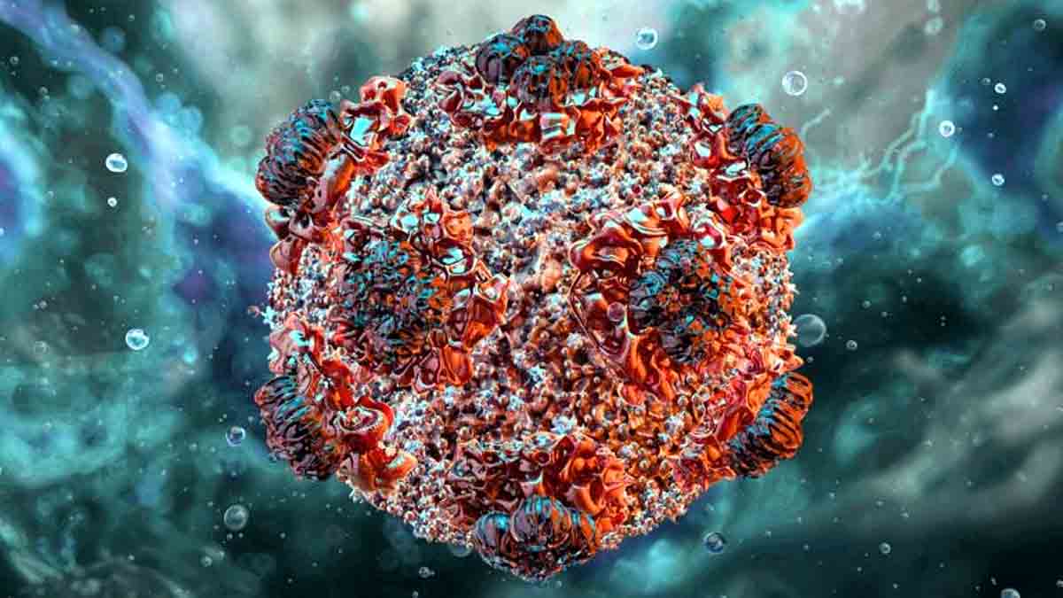 Andes hantavirus
