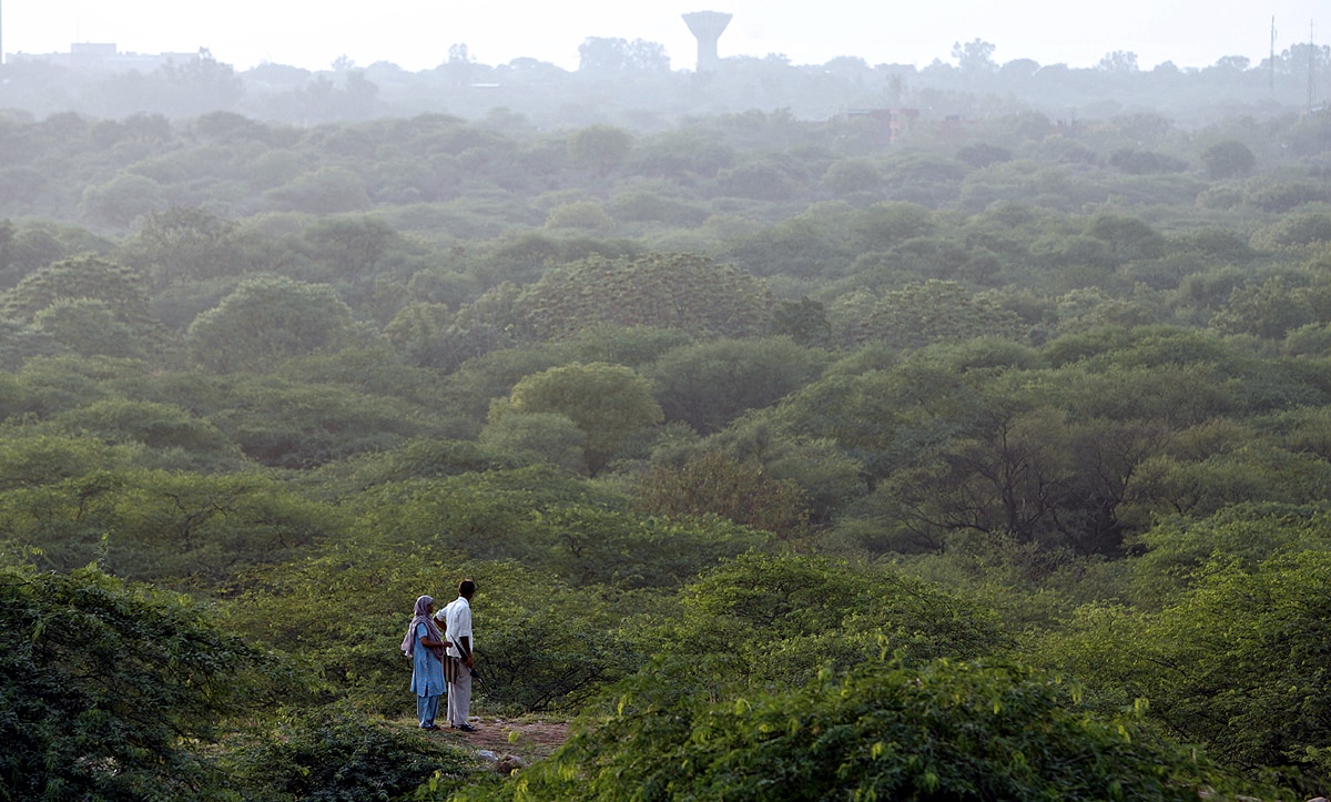 Haryana Forest Definition