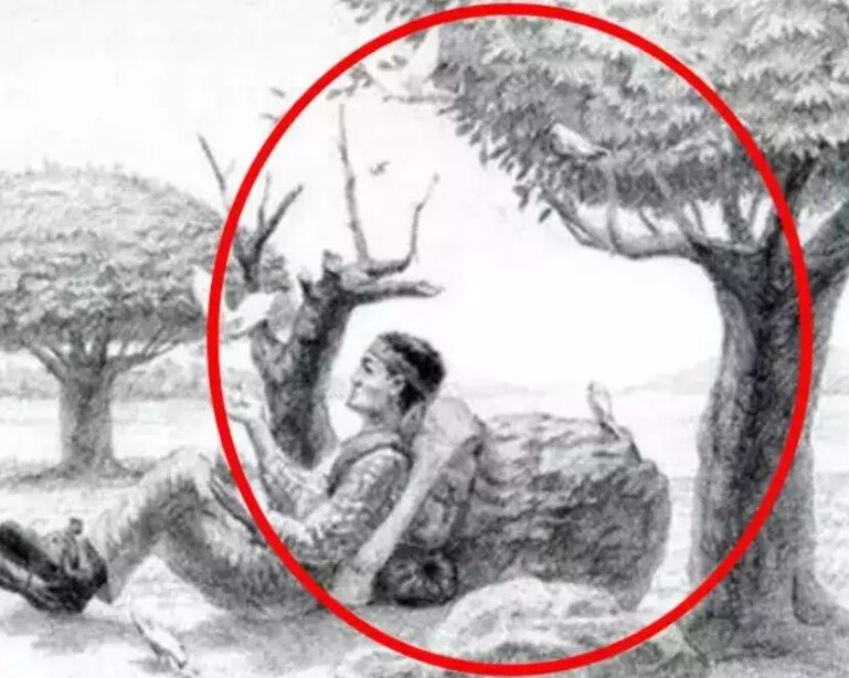 Optical Illusion Optical Illusion