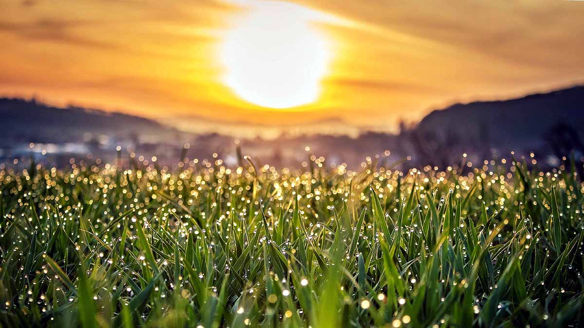 Early Heat in Delhi-NCR