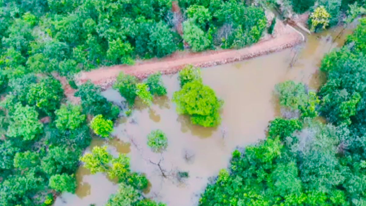 how forest department idea helped reduce human elephant conflict in garhwa jharkhand