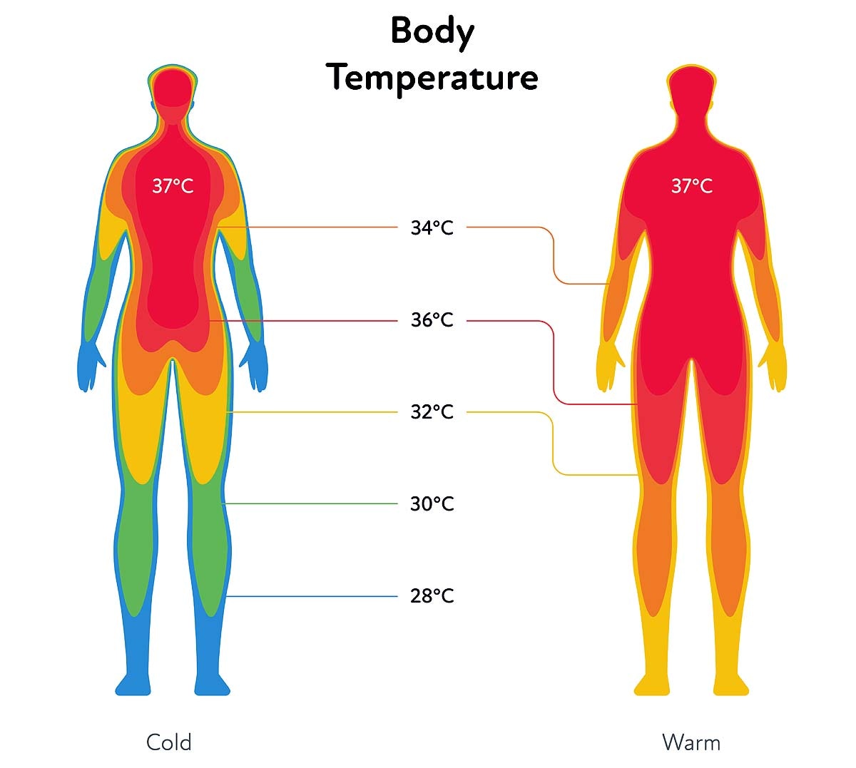 Human body heat tolerance
