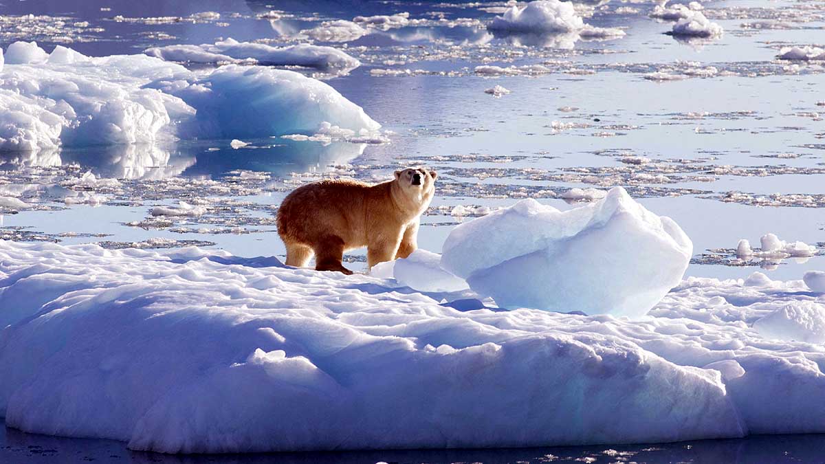 Iceland Atlantic Ocean Ice Age