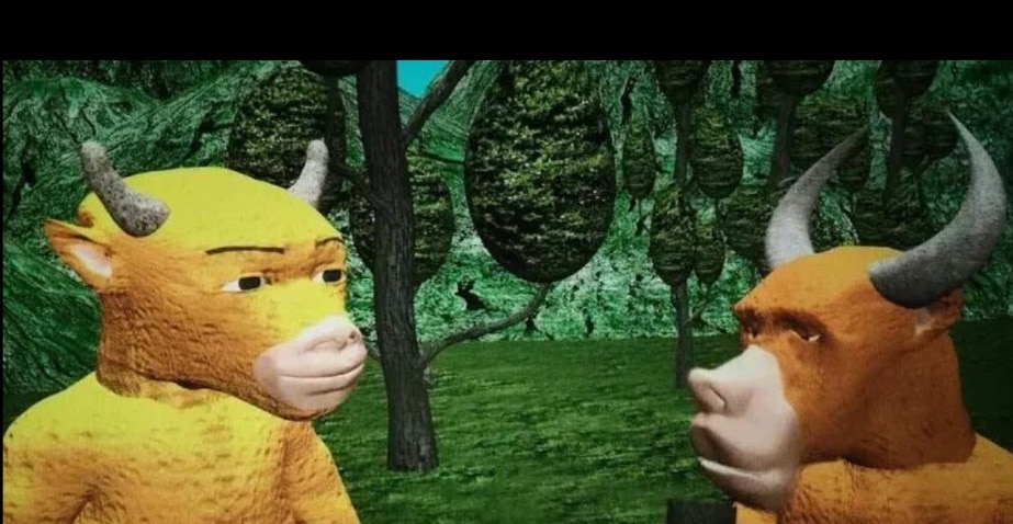 ्