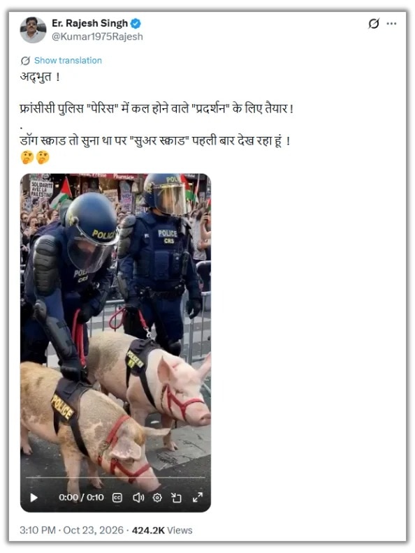 Pig Video Goes Viral in France