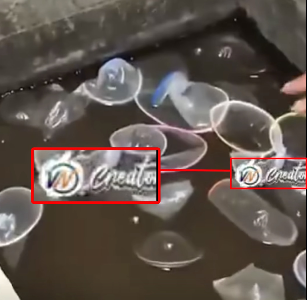 condoms in girl hostel