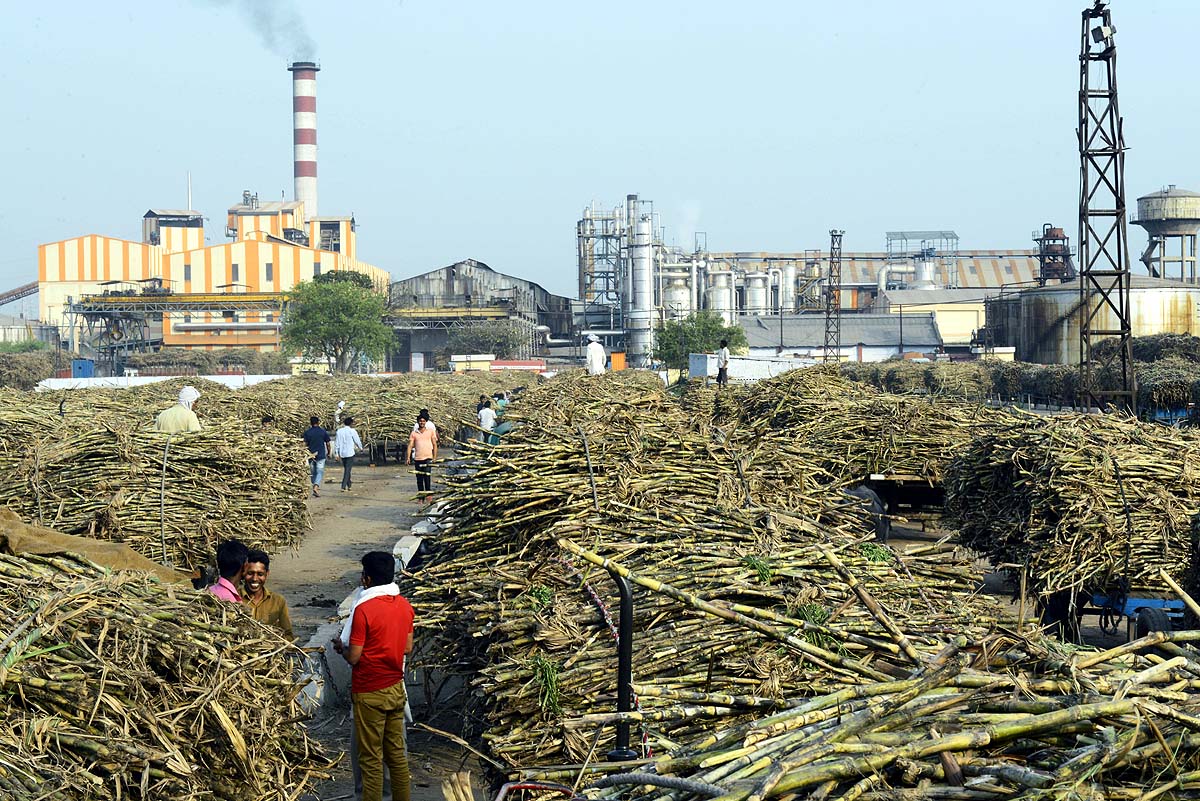 India Sugar Production India Sugar Production