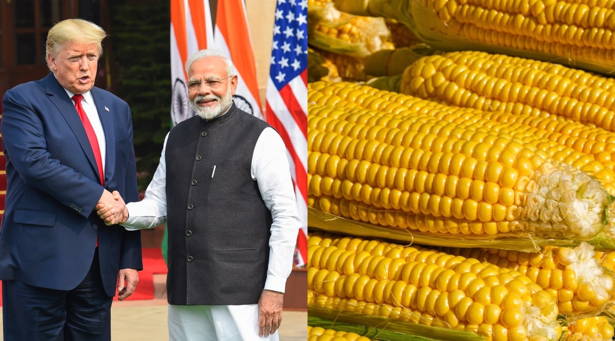 India US Export 
