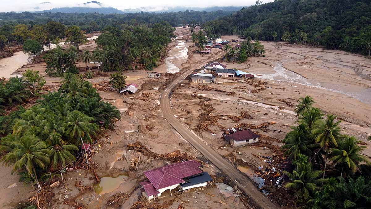 deforestation brings devastation deforestation brings devastation