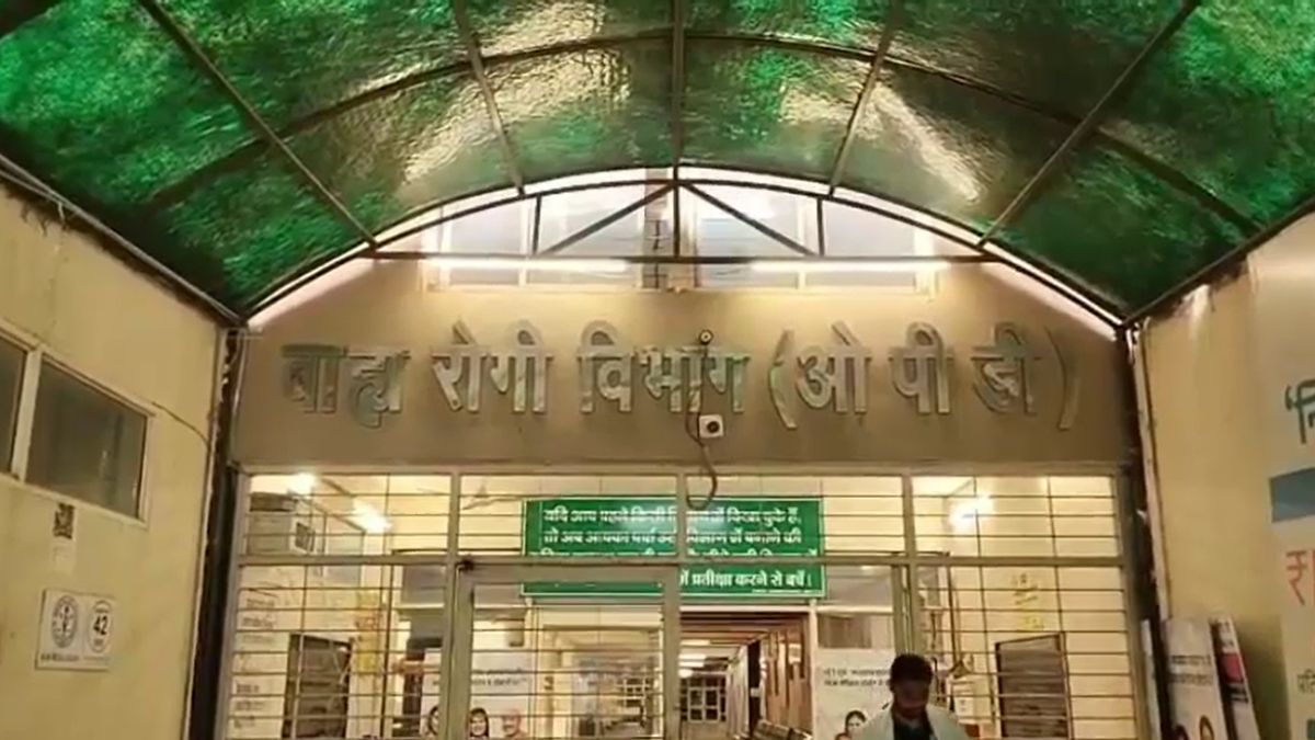 indore my hospital after rat incident now cats raise patient safety concerns indore my hospital after rat incident now cats raise patient safety concerns