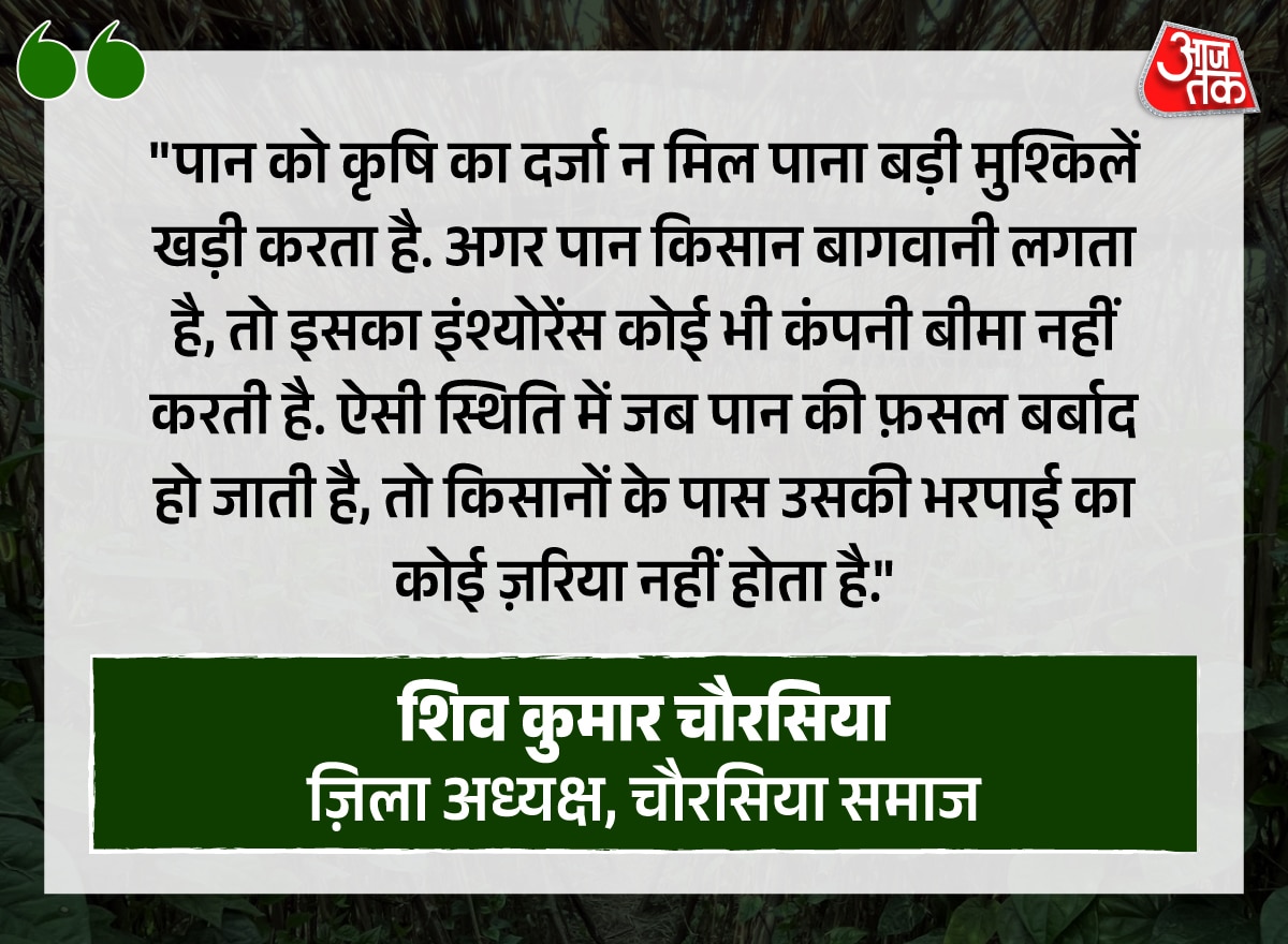 betel leaf ground report pratapgarh uttar pradesh