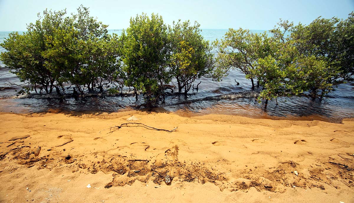 Iran Oil Spill