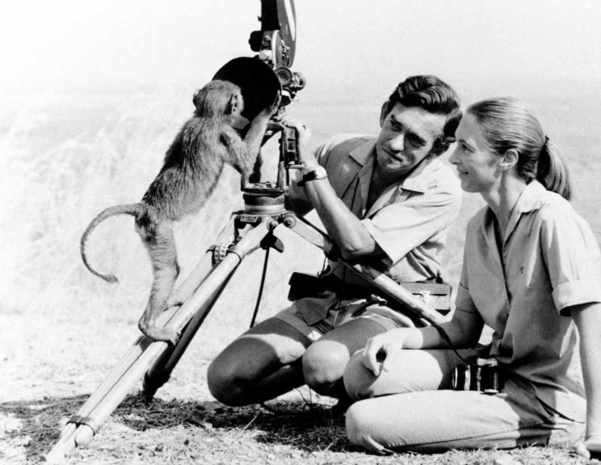 chimpanzee expert Jane Goodall