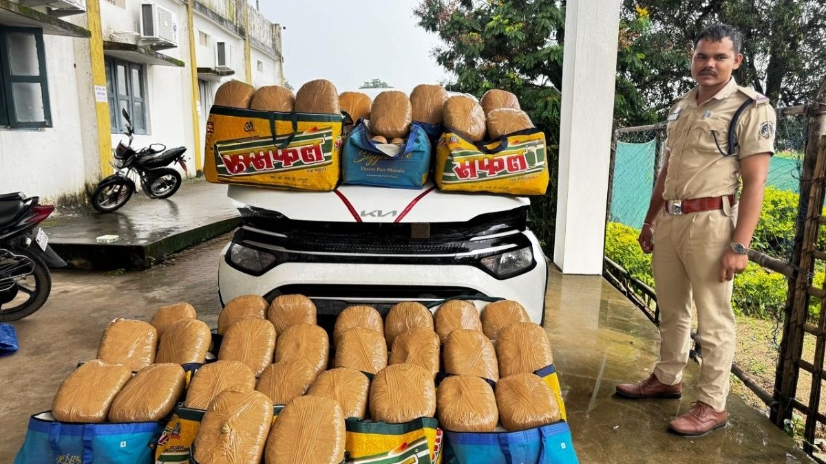 Jashpur 3 Vehicles Rs 3 Crore Worth of Marijuana Seized Consignment UP Odisha
