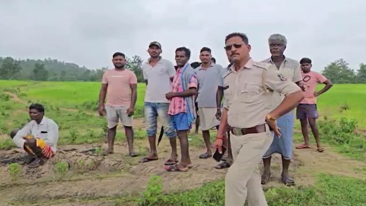 jashpur elephant attack compensation six women claim wife status