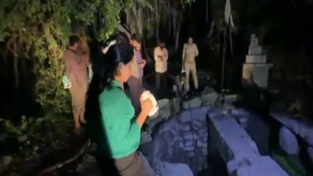 junagadh lioness rescued from well released back into wild after treatment junagadh lioness rescued from well released back into wild after treatment