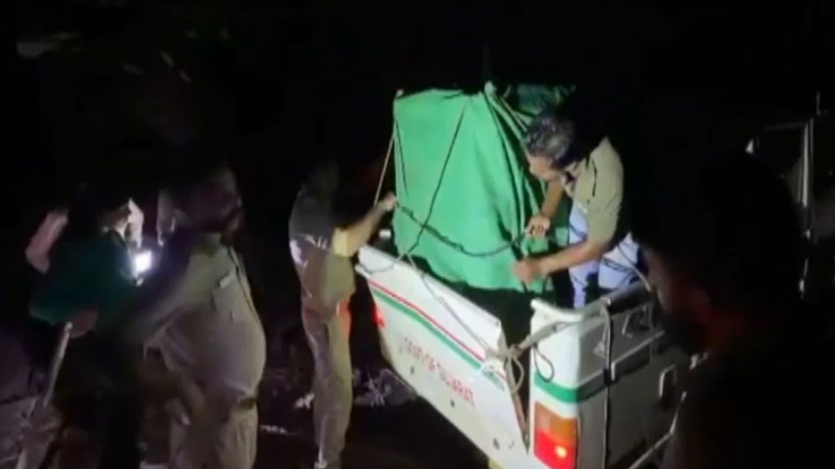 junagadh lioness rescued from well released back into wild after treatment junagadh lioness rescued from well released back into wild after treatment