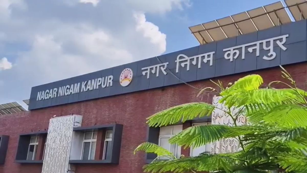 कड़ाके की ठंड में गाय-बछड़ों को पहनाए भगवा कोट... कानपुर में ठिठुरन के बीच नगर निगम की पहल