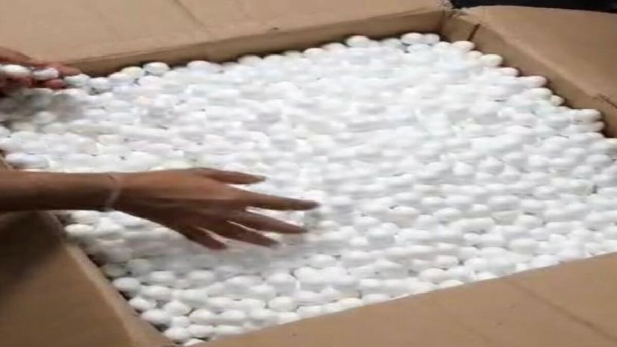 अमेरिका