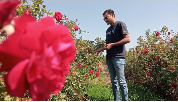 कपिल कर रहे गुलाब की खेती