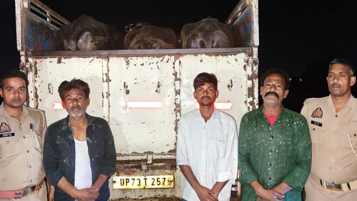 kaushambi police encounter buffalo thieves five arrested two injured
