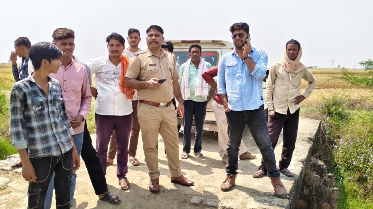 kuno national park cheetah kp2 spotted in kota resting in wheat field