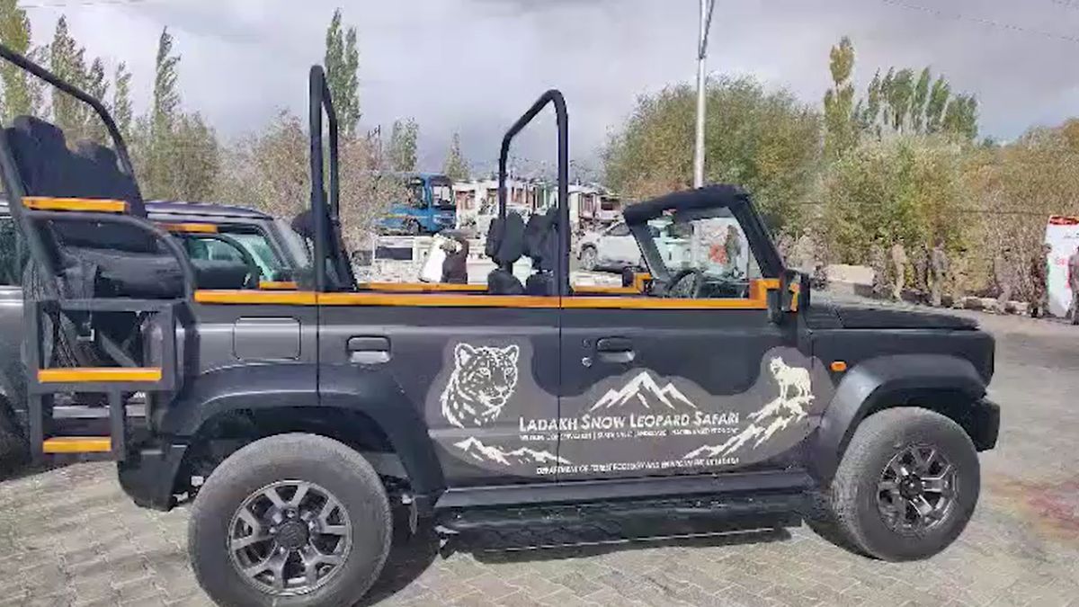 ladakh snow leopard safari launch 477 snow leopards wildlife tourism ladakh snow leopard safari launch 477 snow leopards wildlife tourism