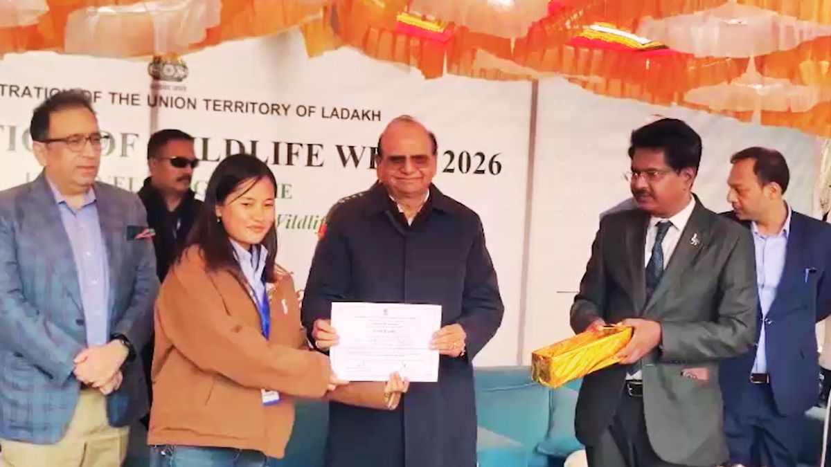 ladakh snow leopard safari launch 477 snow leopards wildlife tourism ladakh snow leopard safari launch 477 snow leopards wildlife tourism
