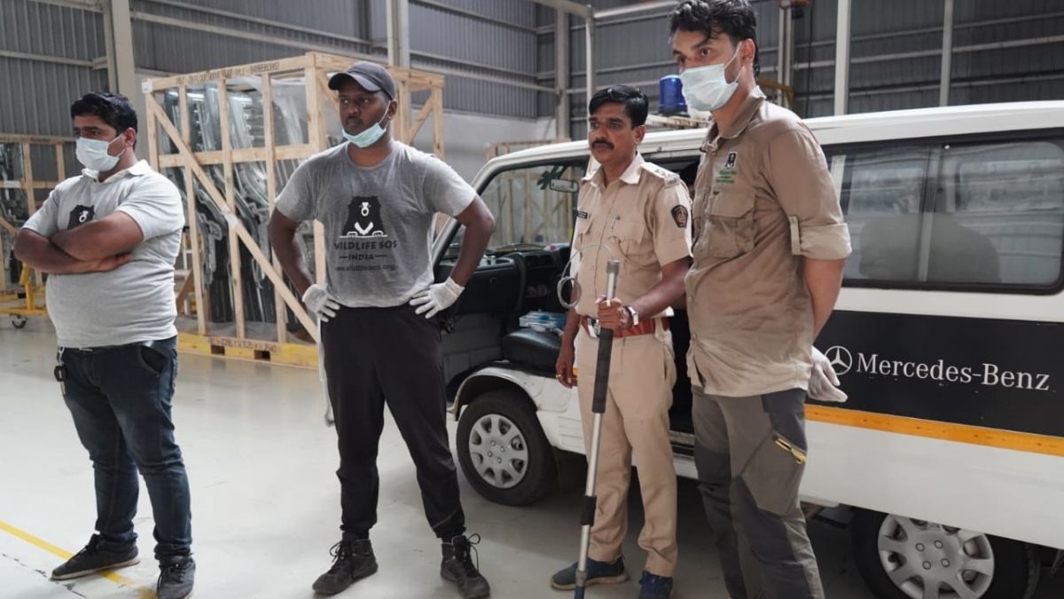 क्या हुआ जब Mercedes कार के प्लांट में घुस गया तेंदुआ. (Photo: Aajtak)