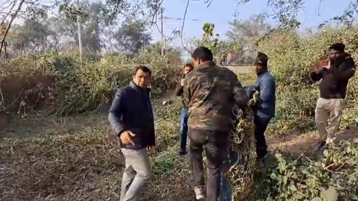 leopard sighting MLA Rudrapur panic animal forest department rescue