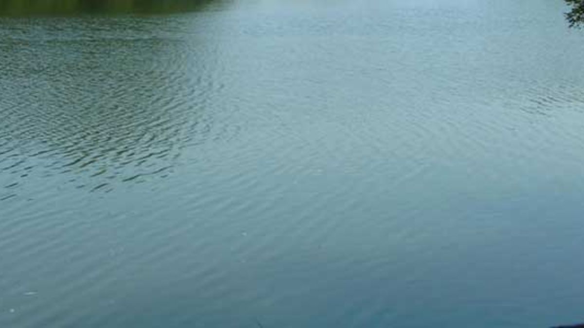 Lingabudi lake mysore