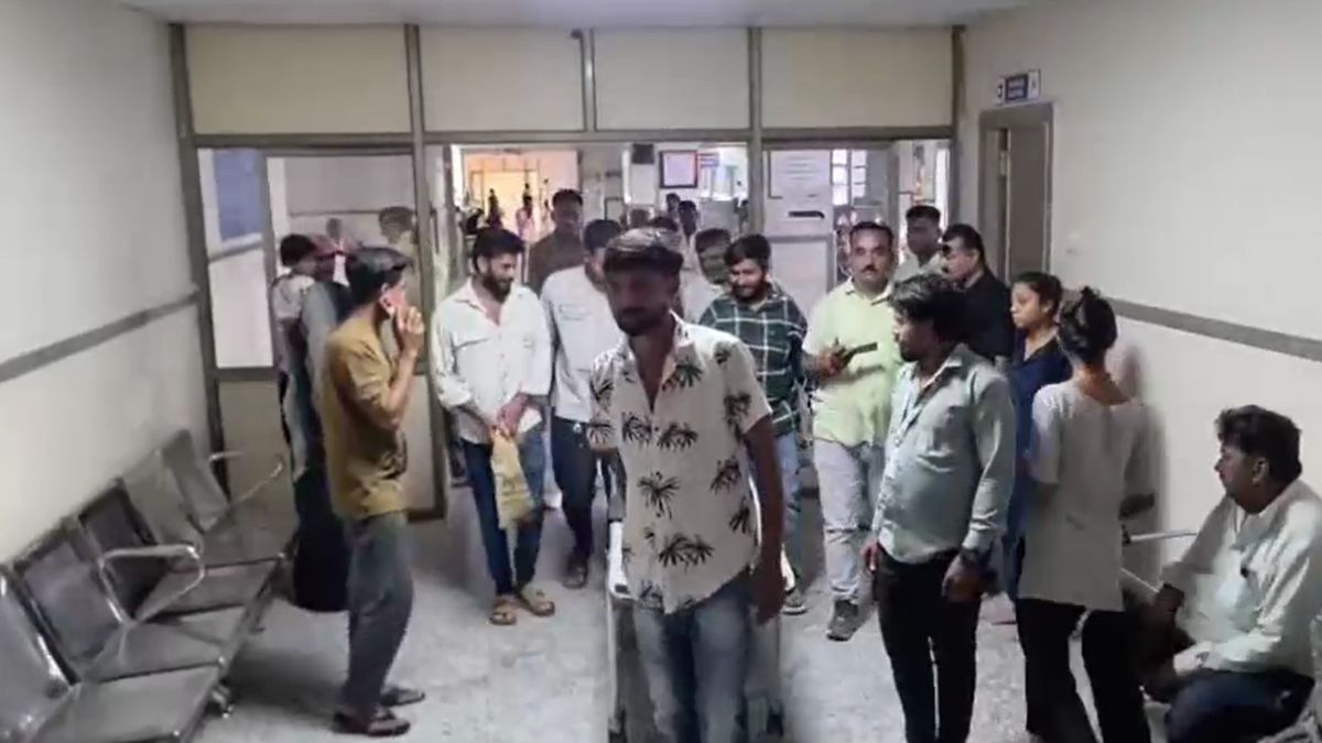 lion hiding cotton field in Amreli due to heat attacked forest department lion hiding cotton field in Amreli due to heat attacked forest department