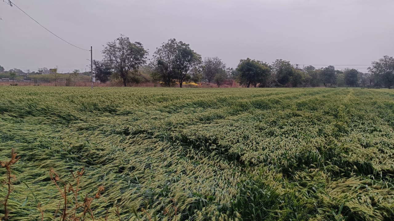 madhya pradesh khargon