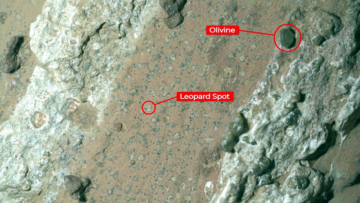 mars life sign