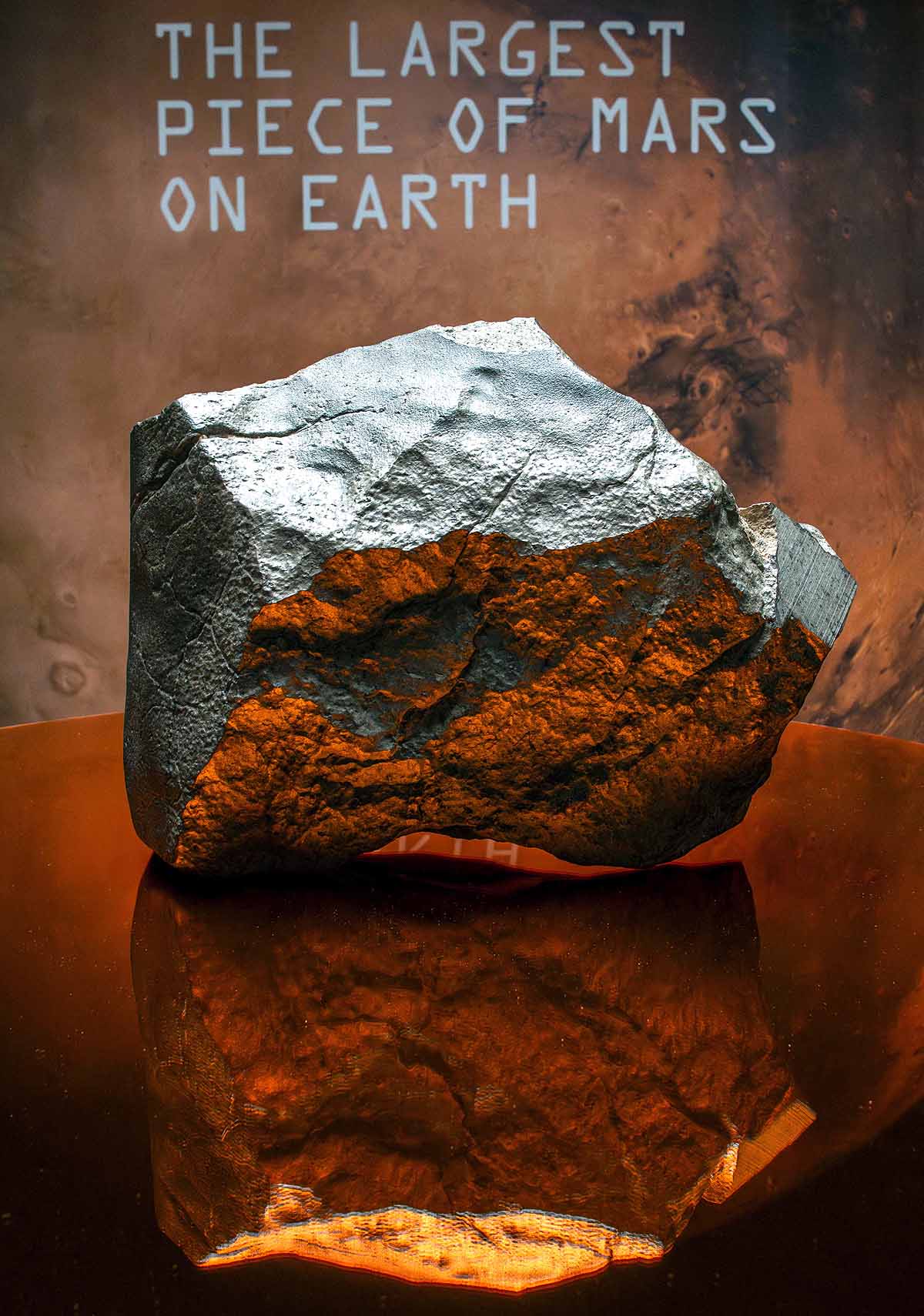 largest Martian meteorite