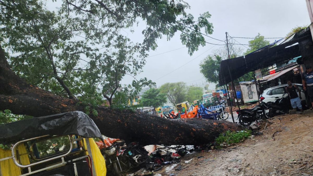 massive tree falls on cng tanker banda heavy rain major accident averted