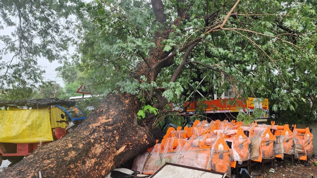 massive tree falls on cng tanker banda heavy rain major accident averted