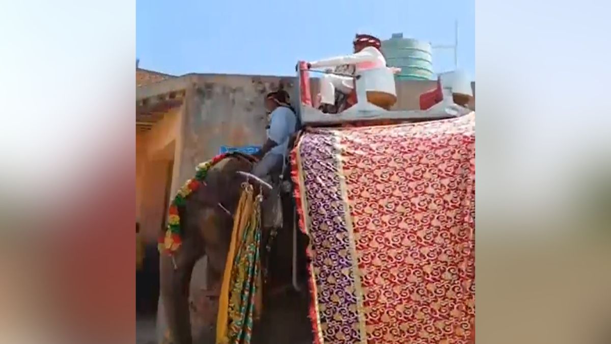 meerut groom rides elephant wedding grandfather fulfills dream