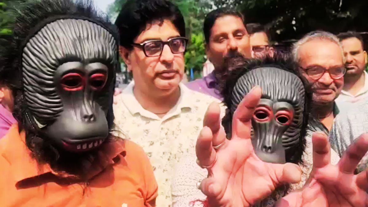 meerut people wear monkey masks protest against monkey menace meerut people wear monkey masks protest against monkey menace