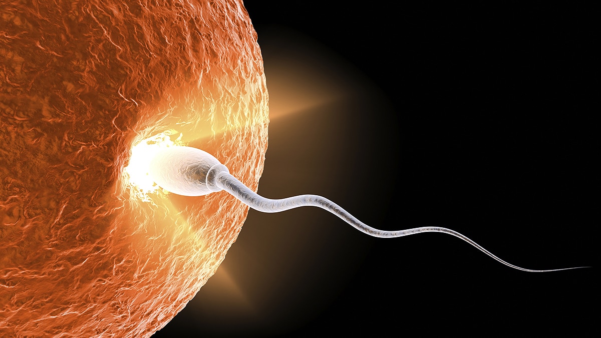 sperm lost in space sperm lost in space