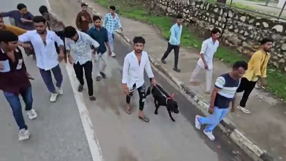 missing labrador returns home after three and half months owner walks 60 km to ambaji to fulfil vow missing labrador returns home after three and half months owner walks 60 km to ambaji to fulfil vow