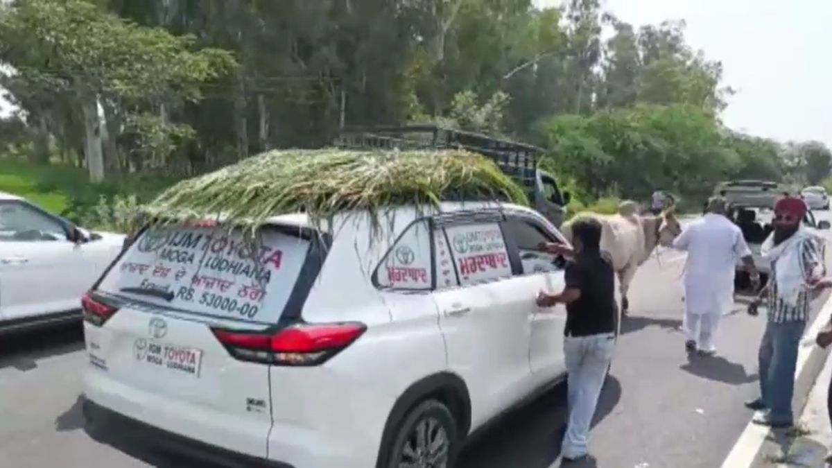 Moga Customer Pulls New Car With Bull After RC Delay Five Months Moga Customer Pulls New Car With Bull After RC Delay Five Months