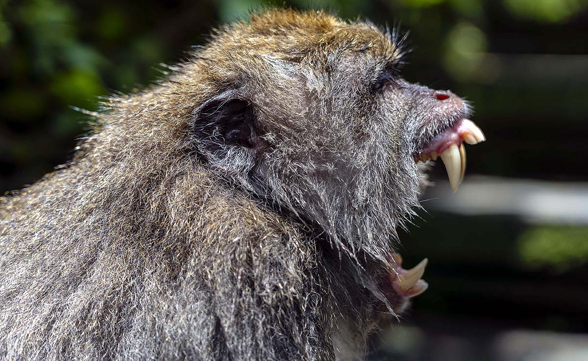 अमेरिकी नाविक बंदर का हमला