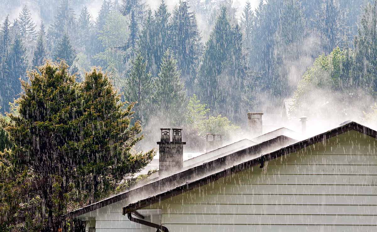 how when where monsoon came from