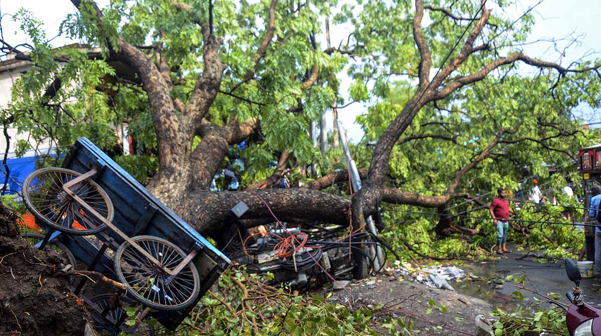 monsoon mayhem in may