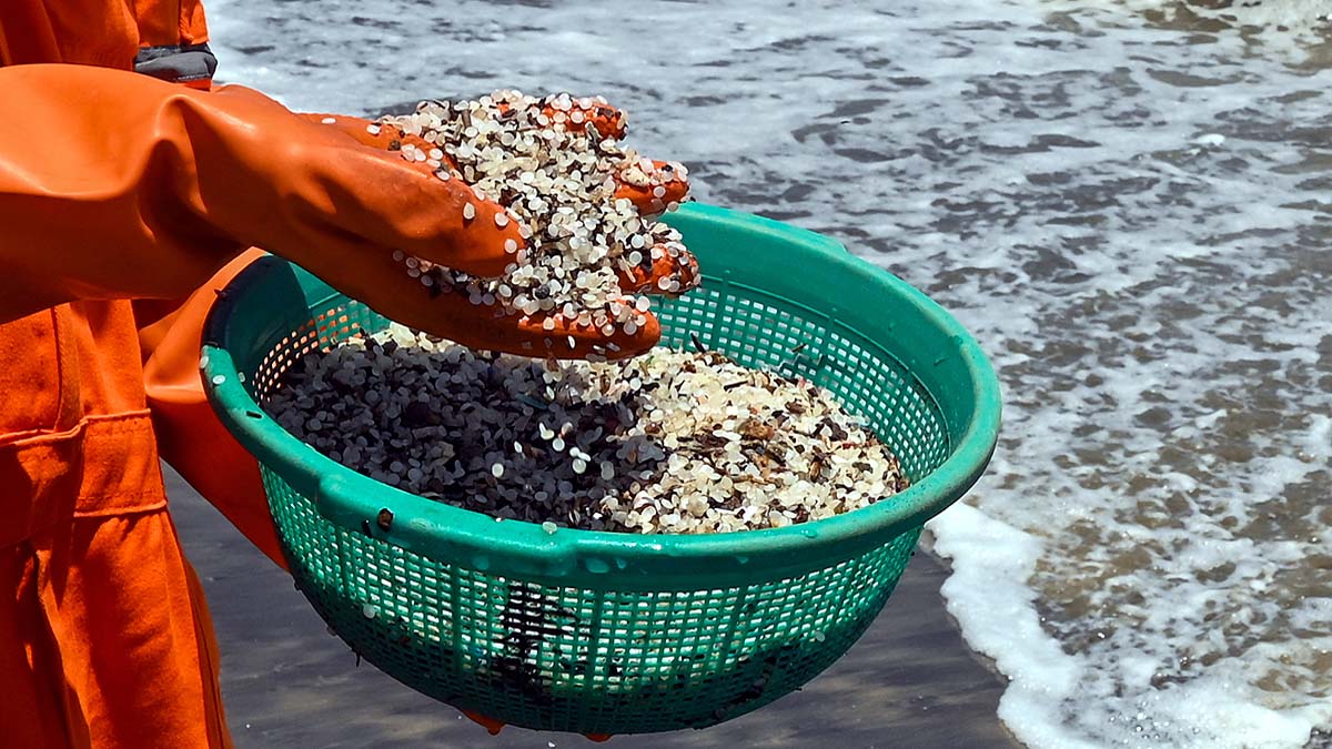 MSC Elsa 3 kerala arabian sea poison