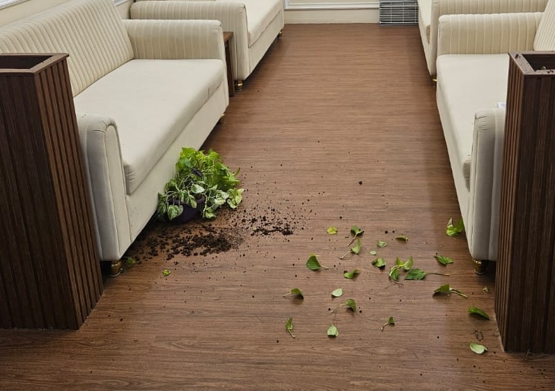 Mumbai Mantralaya Building Woman Vandalization 2nd