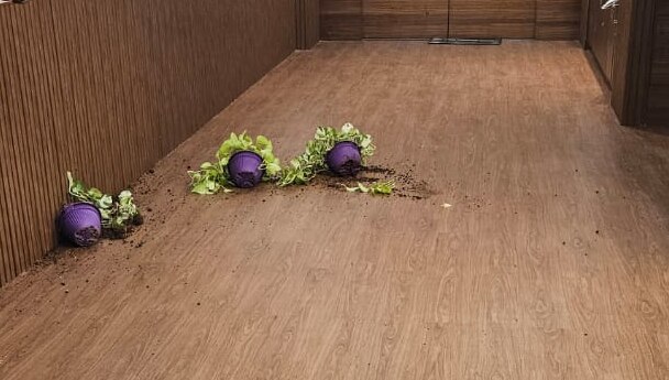 Mumbai Mantralaya Building Woman Vandalization