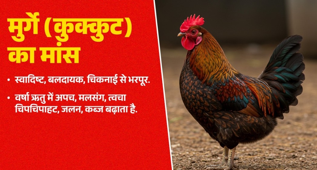 Navratri